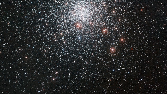 Panorering över den klotformiga stjärnhopen Messier 4