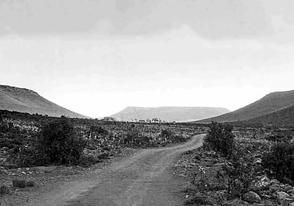 The road to Klaverlei