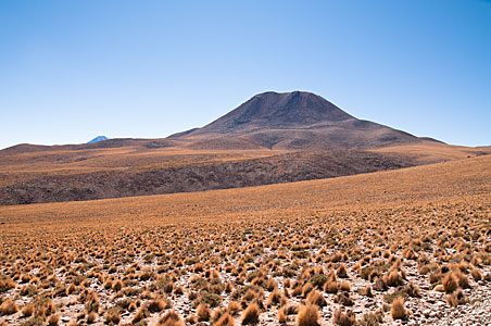 On the road to Chajnantor