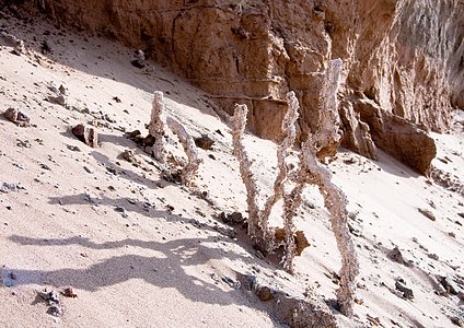 ALMA site