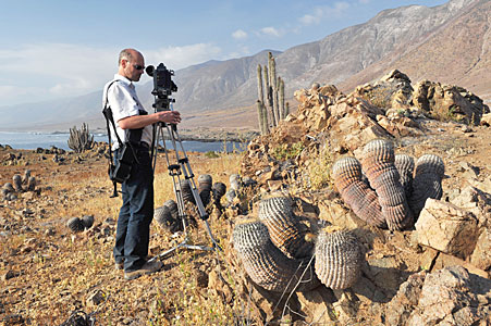 Herbert in the Atacama Desert