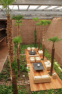 The palm-tree garden