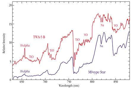 Optical Spectrum of Brown Dwarf TWA-5B