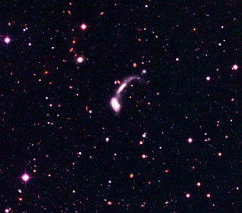 Interacting Galaxies in the Capodimonte Deep Field