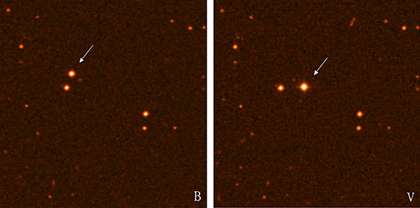 The Nearby Star CN Leonis