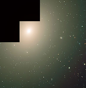 The elliptical galaxy NGC 4365