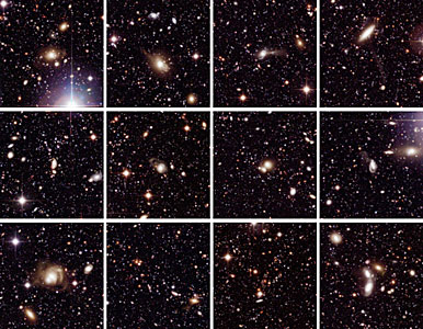 Selected Galaxies in Chandra Deep Field South