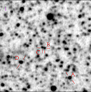 Centaurus A – Field 2 (Halo)