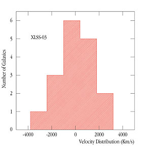 Velocity Distribution of the XLSS-03 Cluster