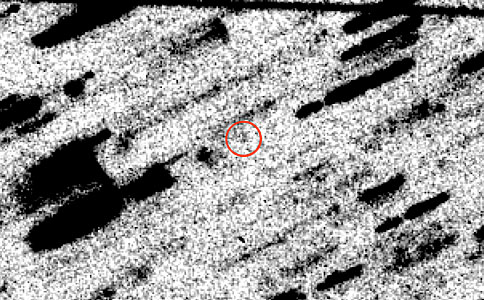 Shift-Added Composite Photo with Comet Halley Image