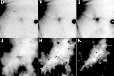 Images of the Silhouette Disc and the Bipolar Reflection Nebula