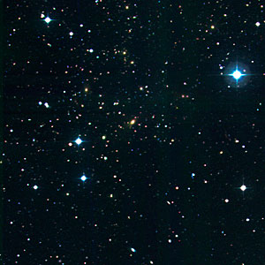 Cluster of Galaxies RXCJ1131.9-1955