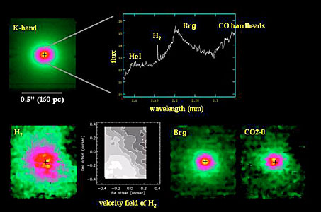 SINFONI Observations of the AGN Galaxy NGC 7469