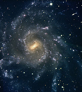 Magnificent Spiral Galaxy NGC 7424