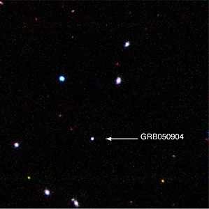The Distant Gamma-Ray Burst GRB 050904
