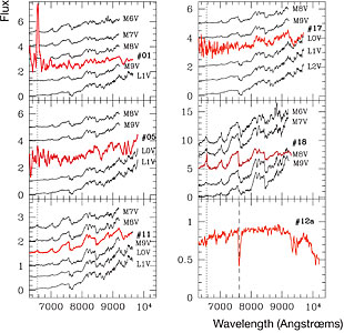Spectra of the Candidate 'Planemos