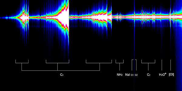 Spectrum of Comet McNaught