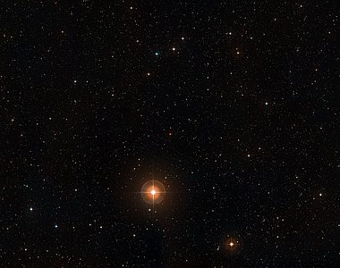Digitized Sky Survey Image of the star T Leporis