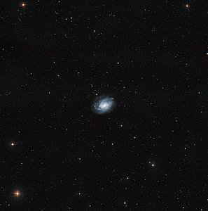The surroundings of NGC 300