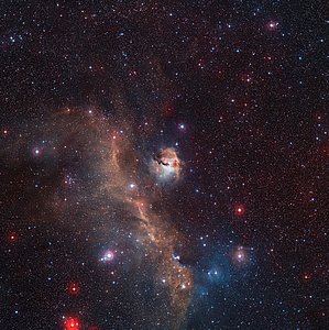 Wide-field view of the entire Seagull Nebula (IC 2177)