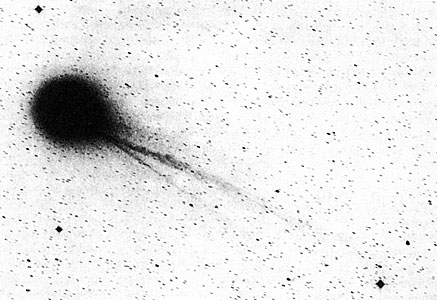 Comet Halley's ion tails