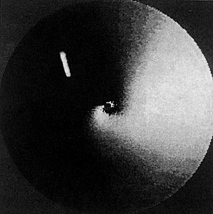 A dust jet from Comet Austin (1989 c1)