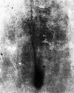 Comet Levy on 12 September 1990