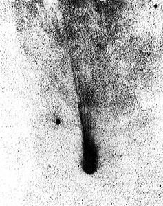 Comet Levy on 14 September 1988