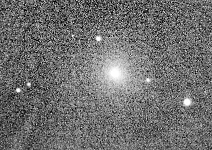 Comet Grigg-Skjellerup
