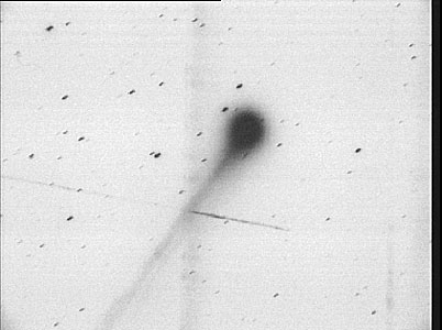 Bright Comet 1995 Q1
