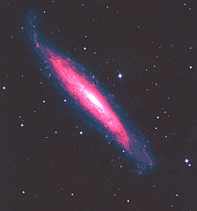 Young Astronomers Observe With ESO Telescopes