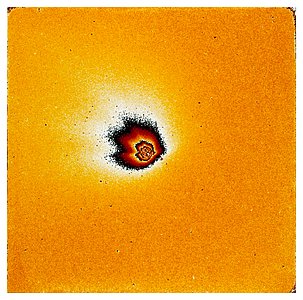 Gas and Dust in Comet Hale Boppg