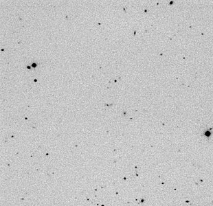 Distant Radio Galaxy MRC0316-257