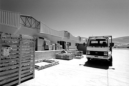 The Bodega
