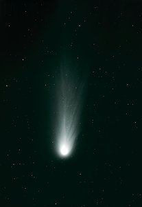 Halley's Comet