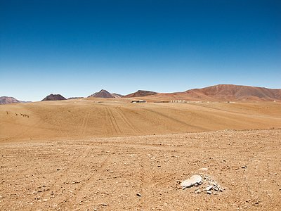 9 Antennas and 6 Vicuñas at ALMA AOS
