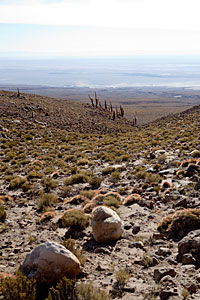 ALMA looking towards the OSF