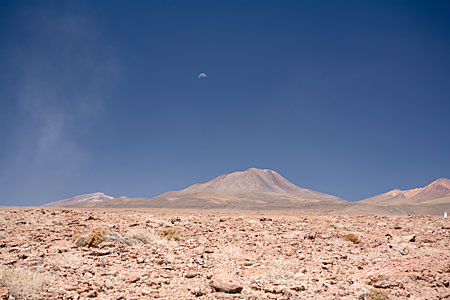 ALMA OSF