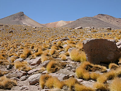 The Road To ALMA