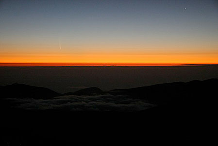 Comet McNaught