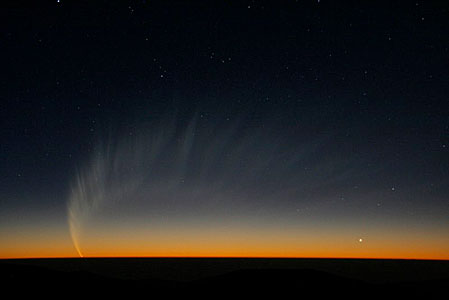 Comet McNaught