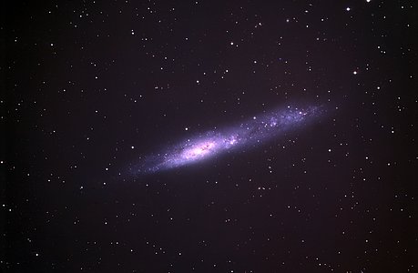 The Irregular Galaxy NGC 55