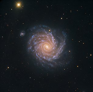 Spiral Galaxy NGC 1232