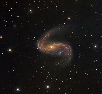 Distorted galaxy NGC 2442
