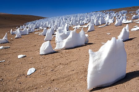 The white penitents