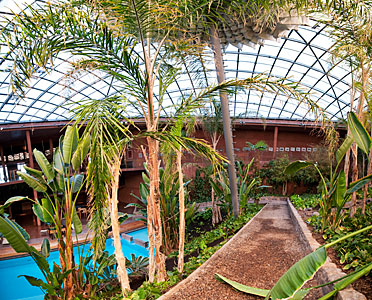 Garden and swimming pool at the Paranal Residencia
