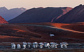 ALMA and Andes