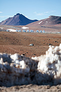ALMA antennas