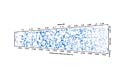 Karte der Positionen tausender Galaxien aus der VIPERS-Durchmusterung