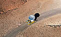 The final ALMA antenna arrives at Chajnantor